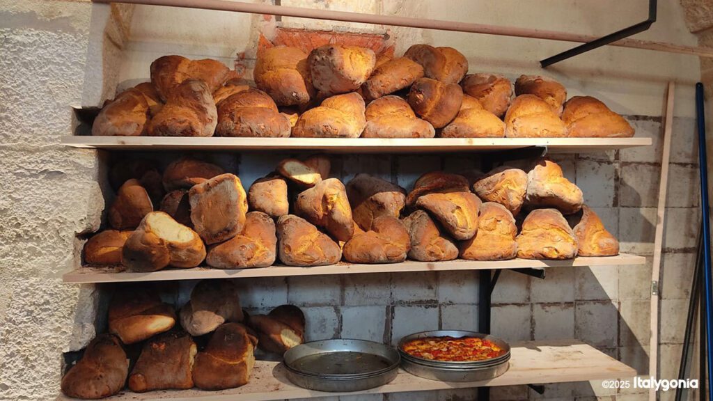 Altamura italy guide tour tasting bread focaccia pane