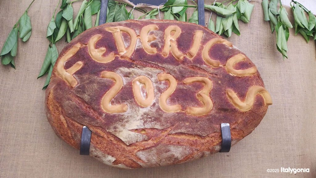 Altamura italy guide tour tasting bread focaccia