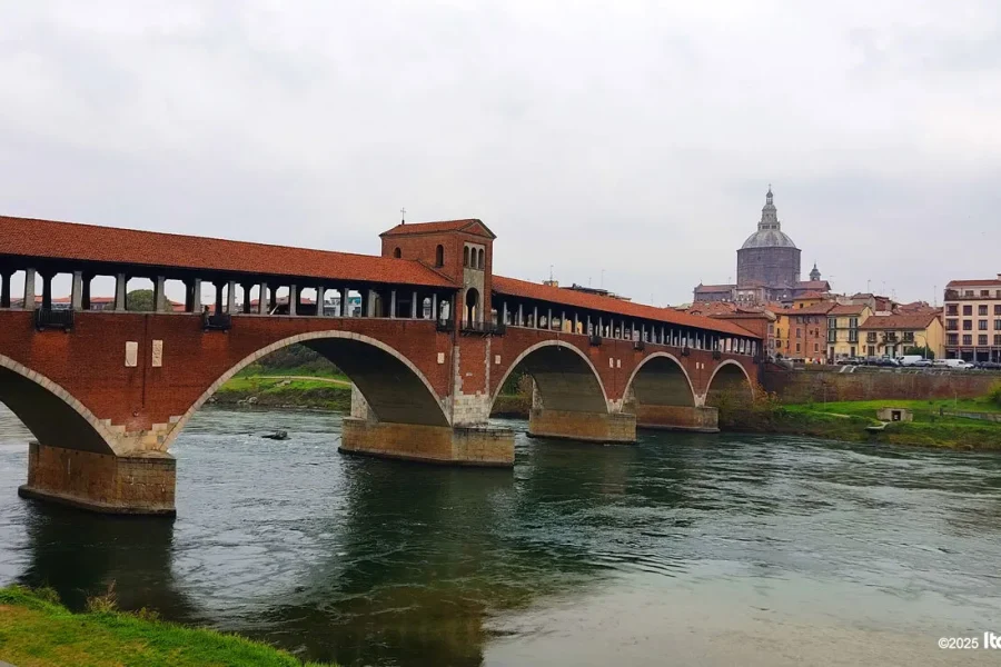 Pavia Private Tour: Historic Center & Medieval Churches