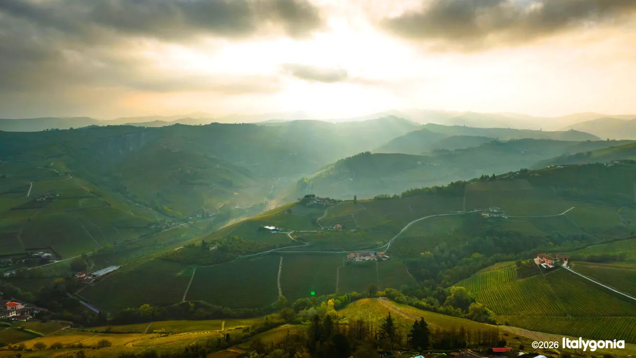 Alba Private Tour: White Truffle & Medieval Old Town