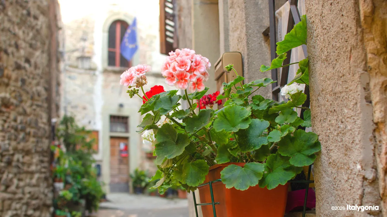Anghiari Private Tour: Medieval Tuscany & Hidden Gems