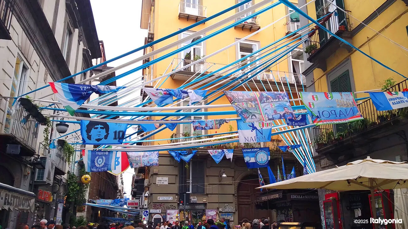 Naples Private Tour: Historic Center & Vesuvius Views
