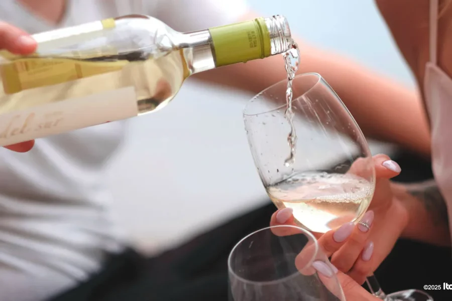 Trani Wine Tour: Vineyard Visit & Wine Tasting