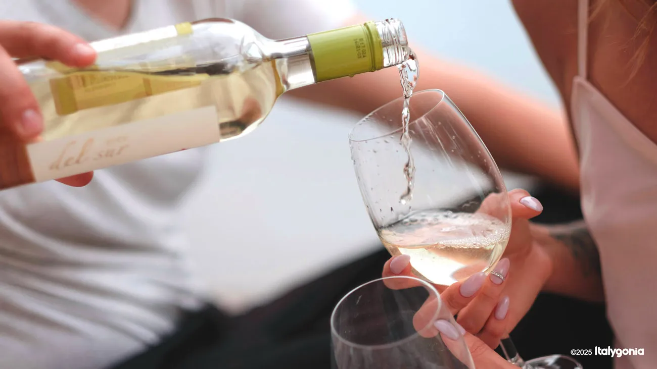 Trani Wine Tour: Vineyard Visit & Wine Tasting