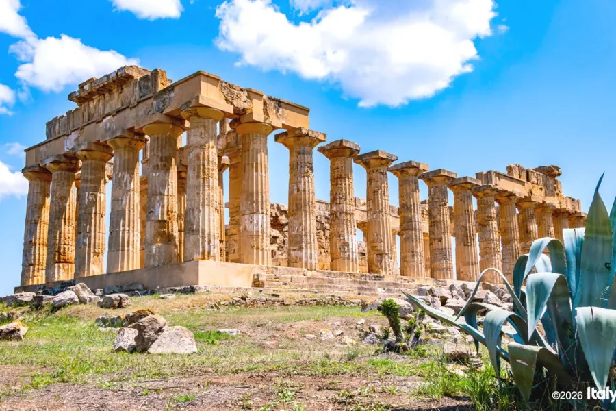 Selinunte Private Tour: Archaeological Park & Ancient Temples