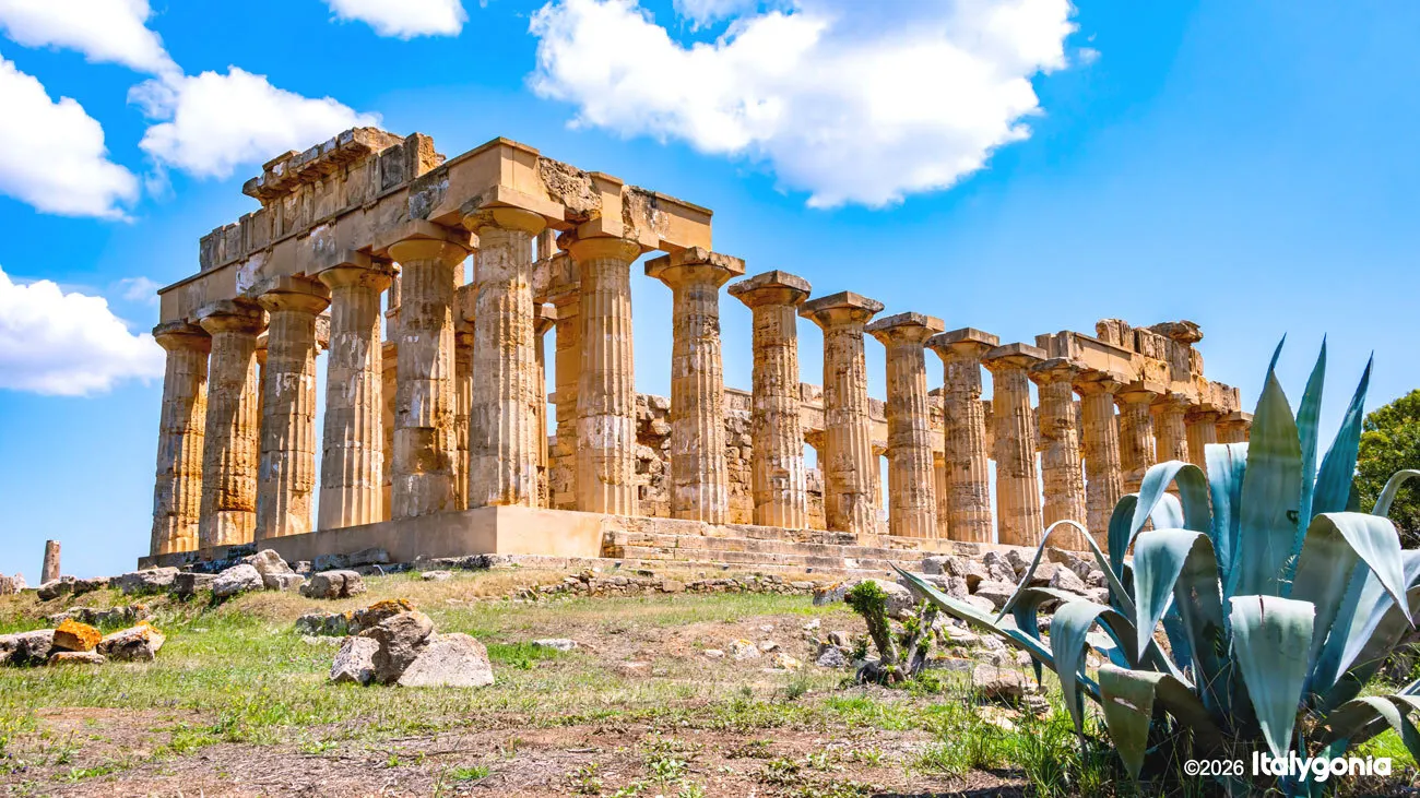 Selinunte Private Tour: Archaeological Park & Ancient Temples