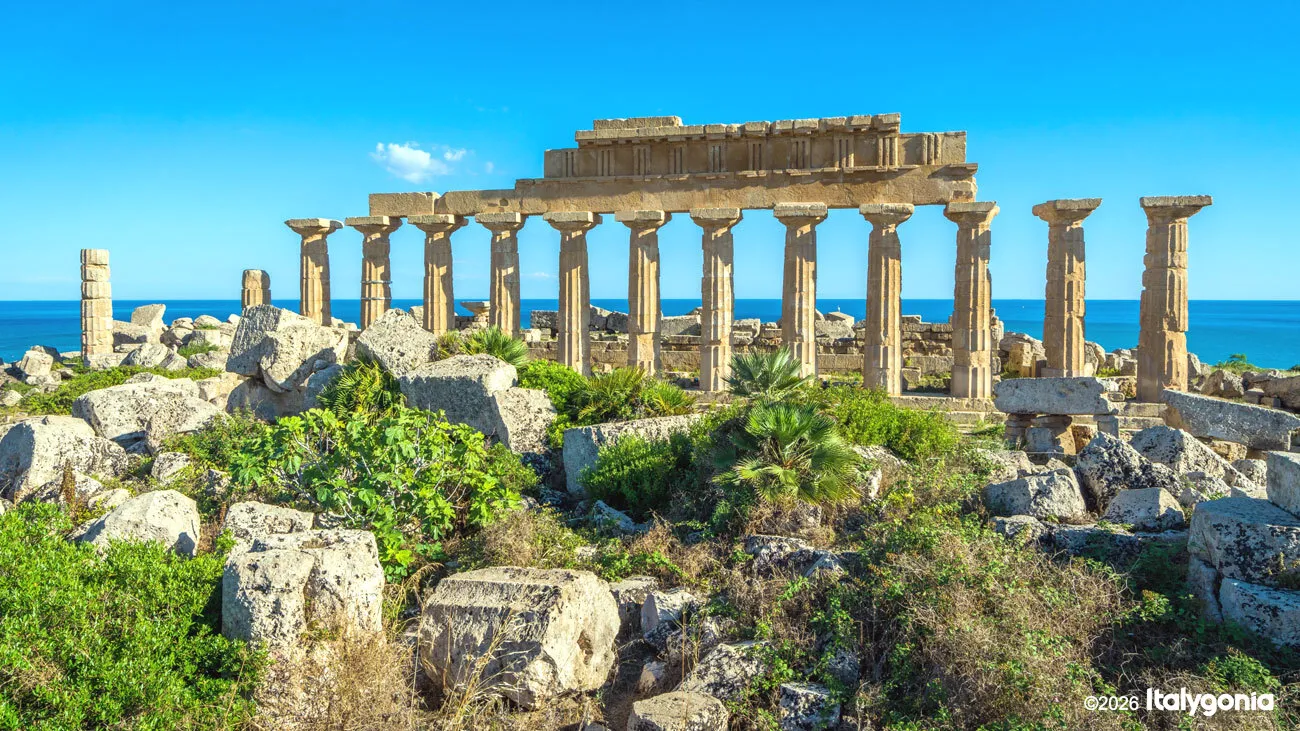 Selinunte Private Tour: Archaeological Park & Ancient Temples