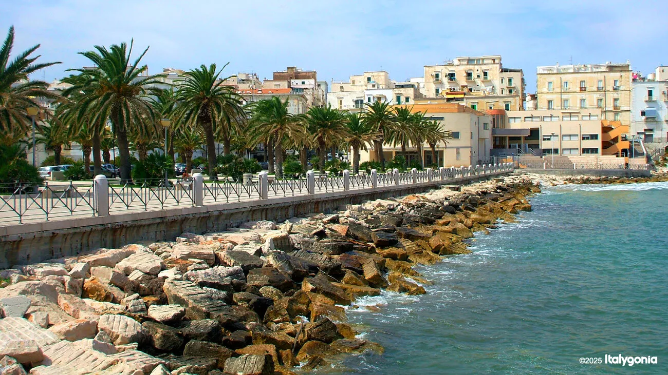 Vieste Private Tour: Old Town, Cathedral & Pizzomunno Monolith